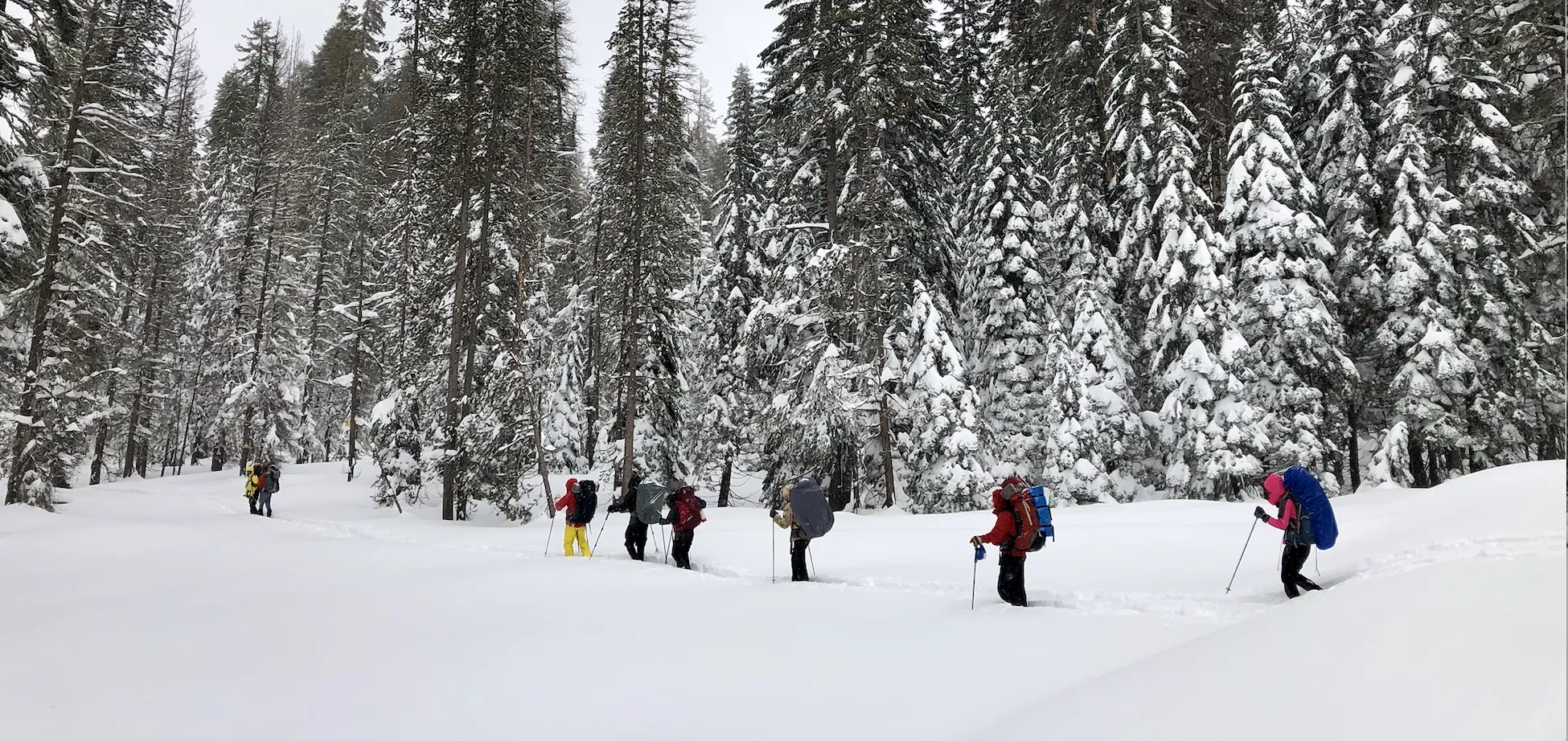 Snowshoeing Yosemite: Tuolumne Grove/Gin Flat Weekend