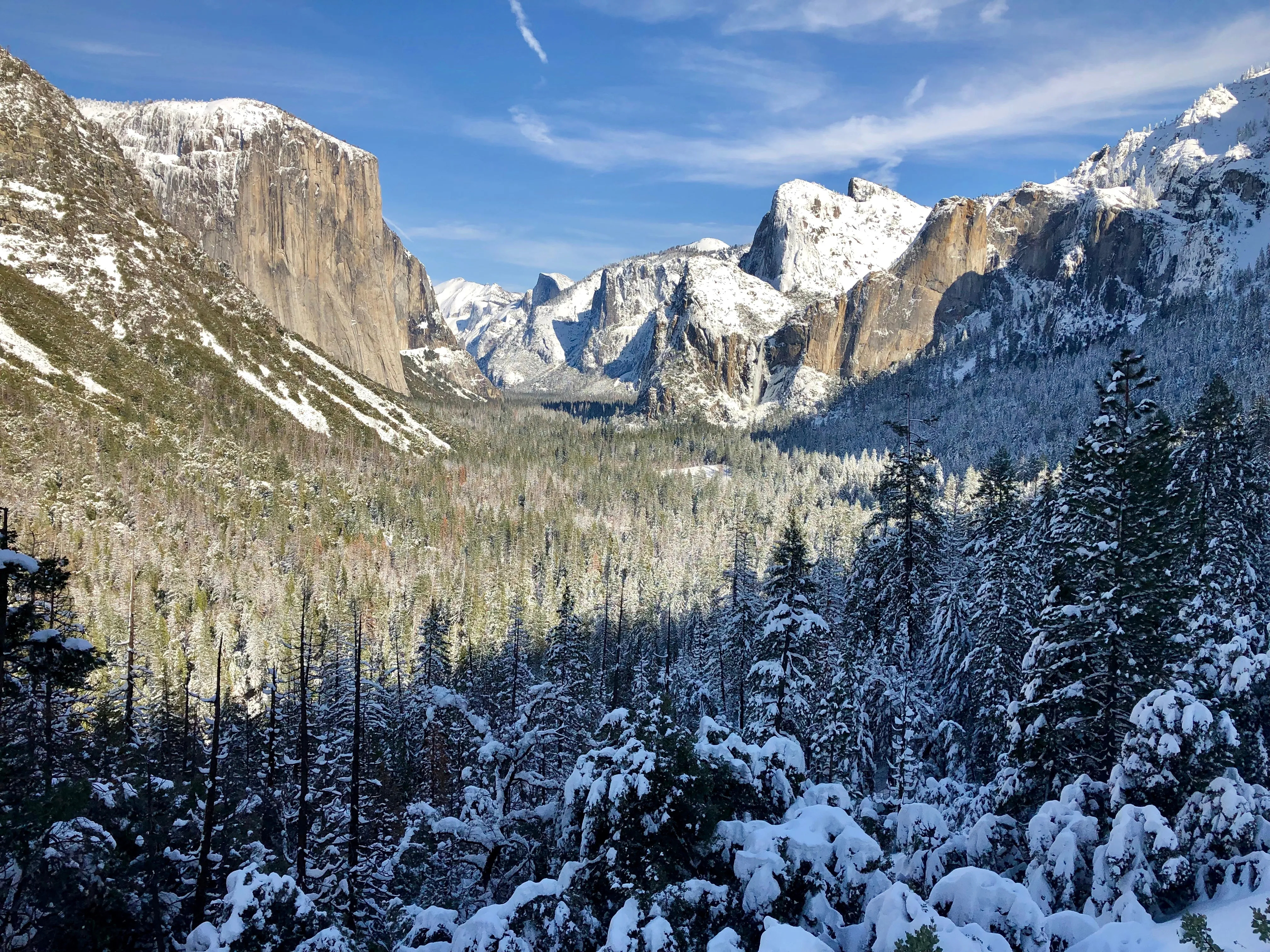 Snowshoeing Yosemite: Tuolumne Grove/Gin Flat Weekend