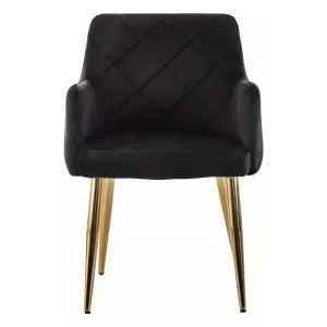 Sophia Dining Chair in Black Velvet and Gold Metal