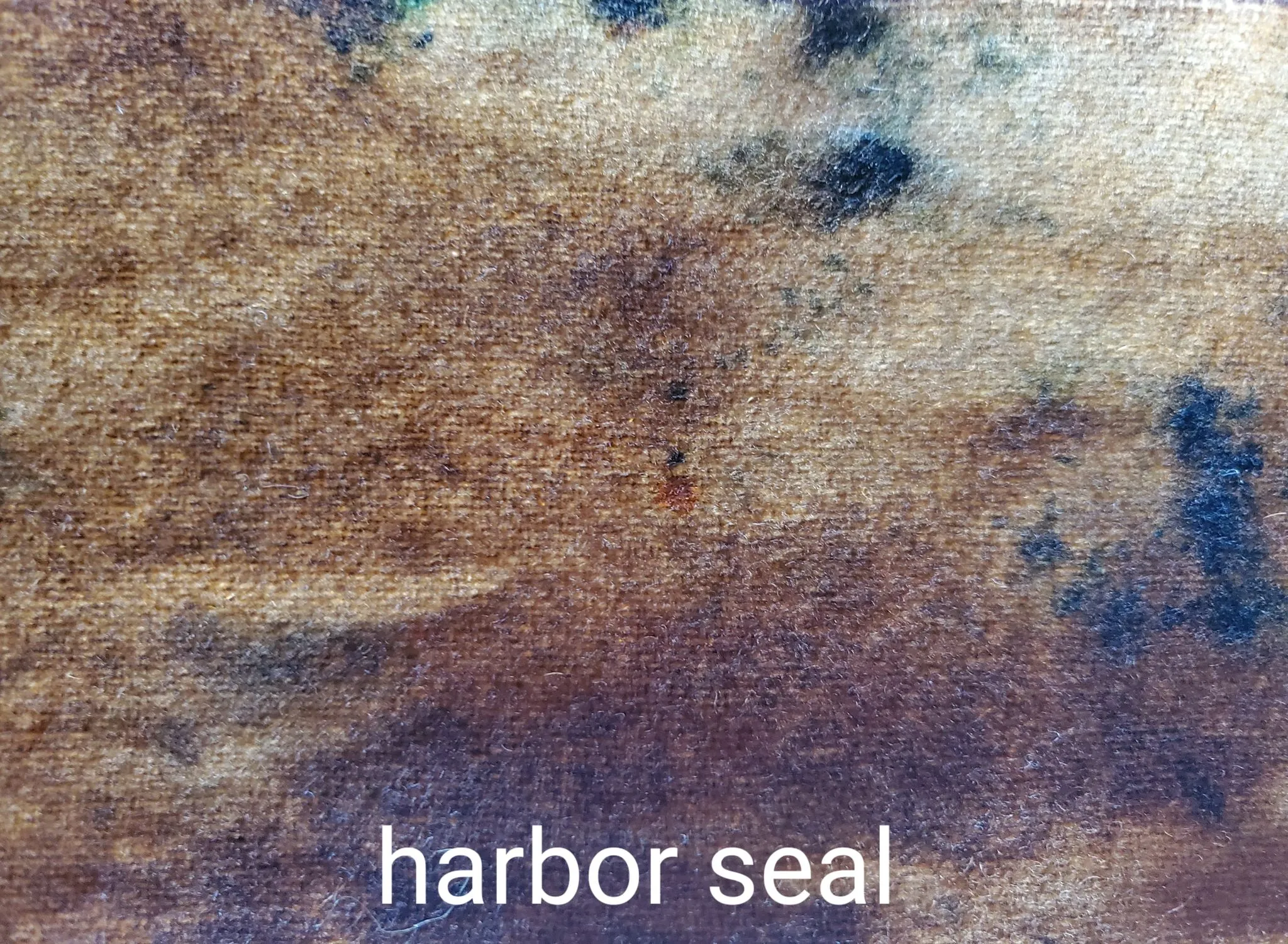 Swatch set: Cape Cod