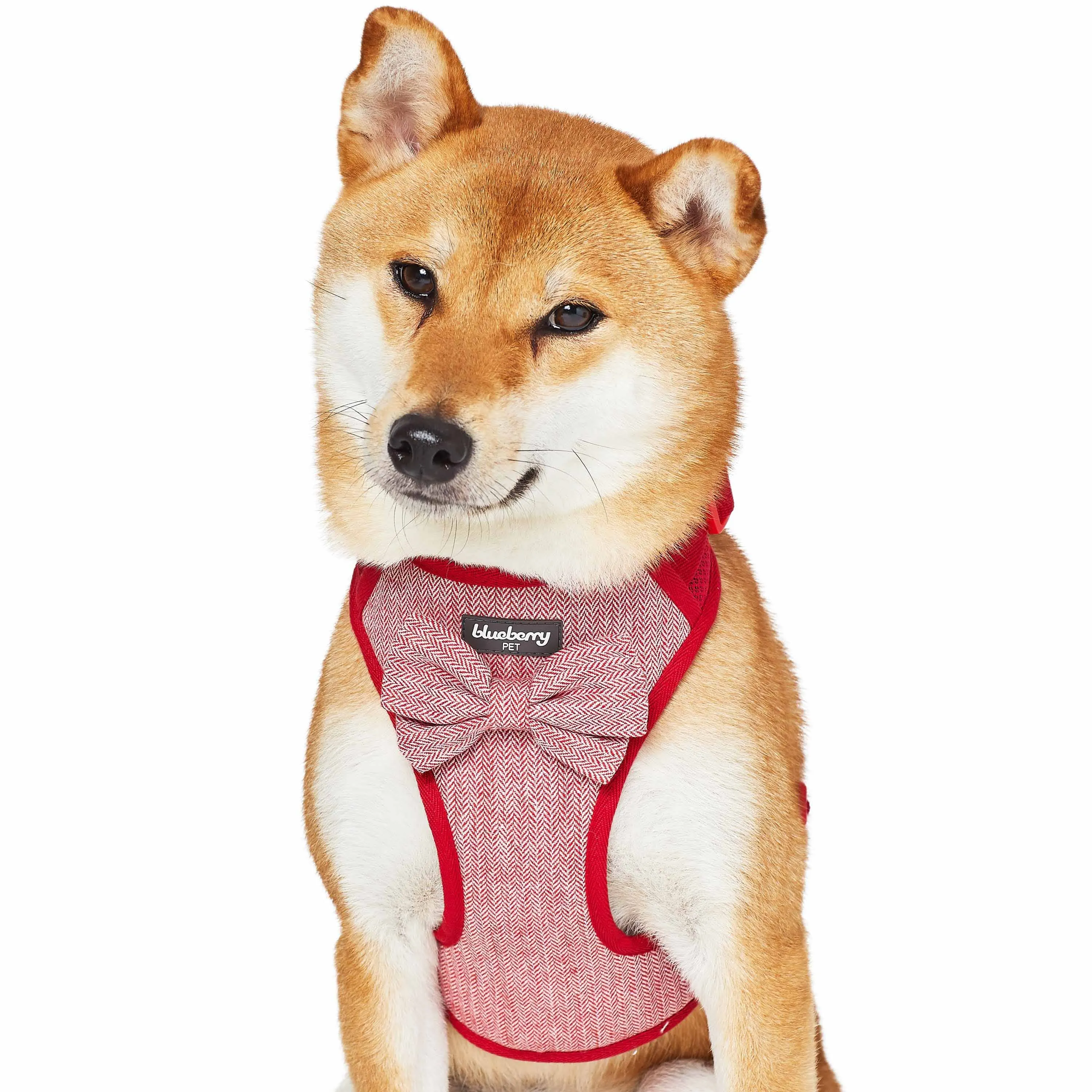 Textured Tweed Dog Harness Vest