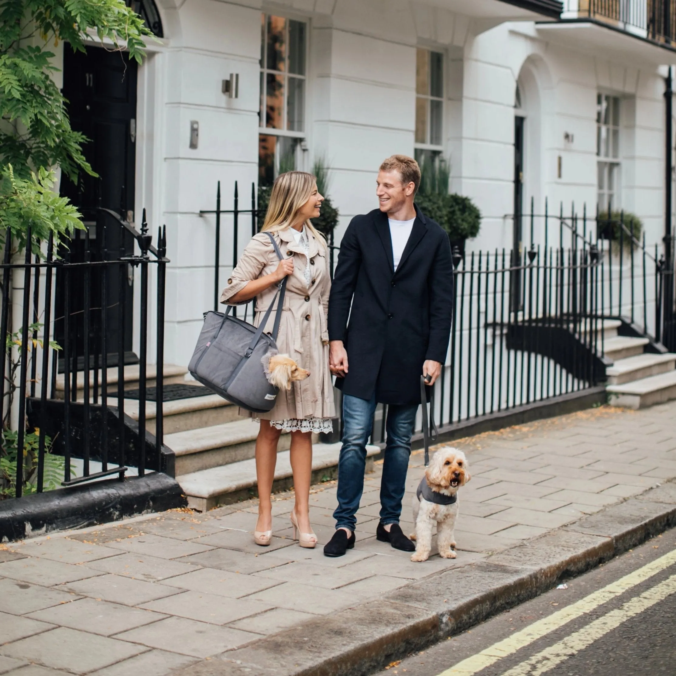 'The Louis' Luxe Grey Velvet Luxury Dog Carrier