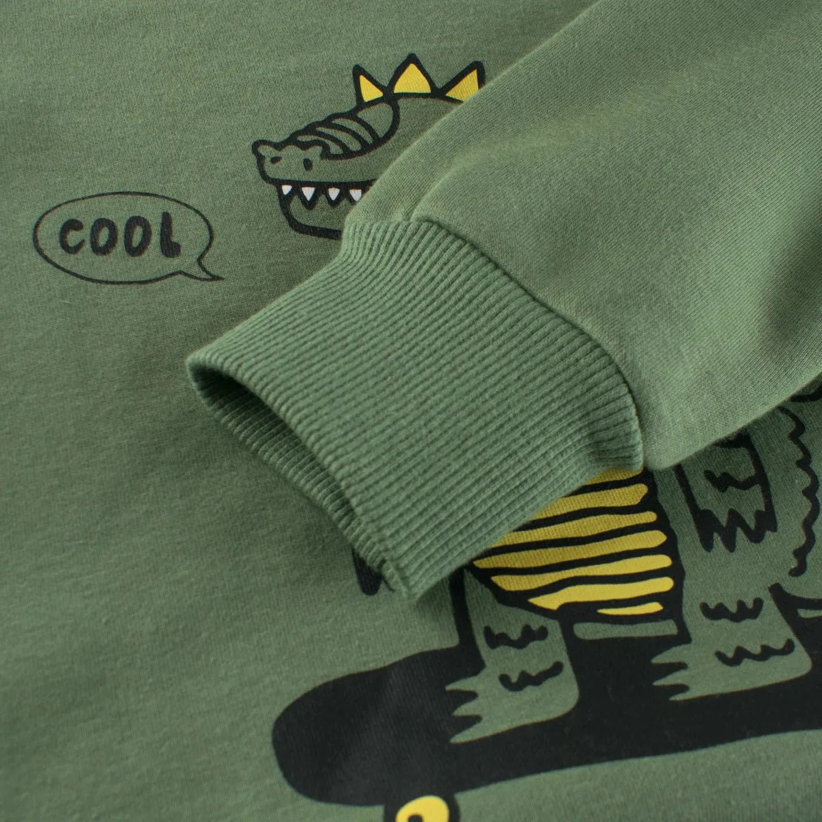Toddler/Kid Boy's Dinosaur Print Design Green Sweatshirt