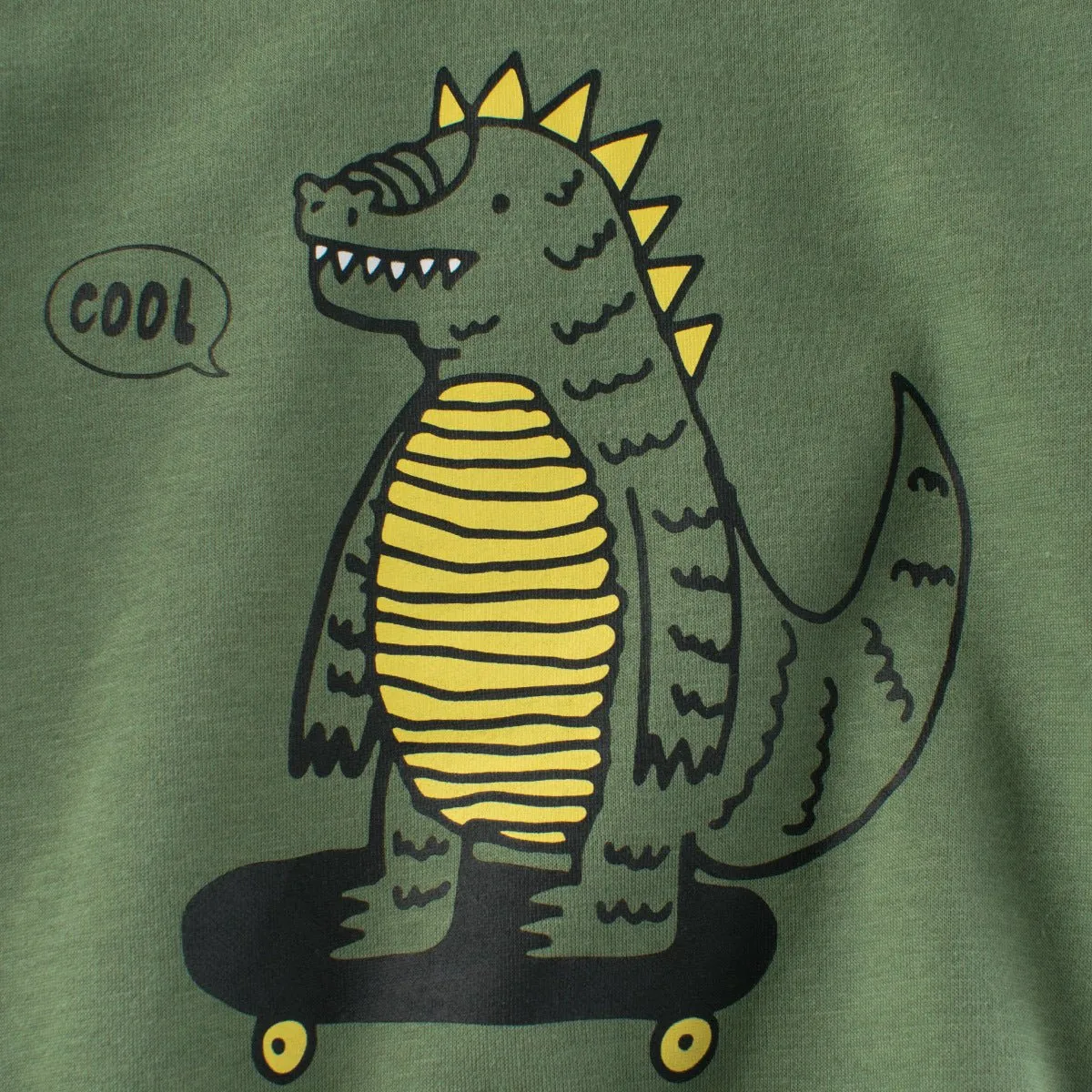 Toddler/Kid Boy's Dinosaur Print Design Green Sweatshirt