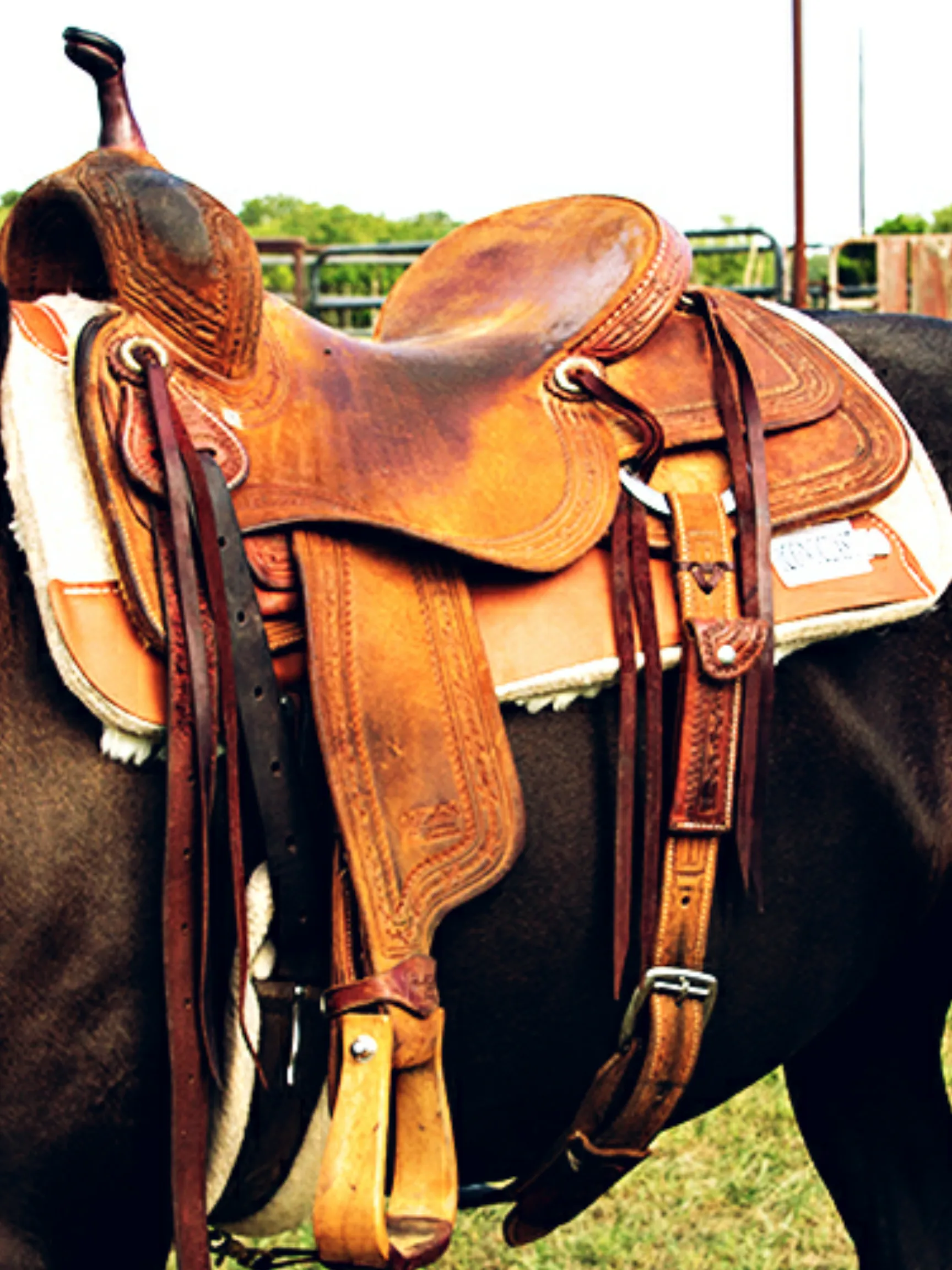Tooled Iconoclast Saddle Pad