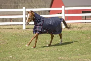 TuffRider 1200 D Winter Comfy Heavy Weight Detachable Neck Turnout  Blanket w/ 350 GSM of fill