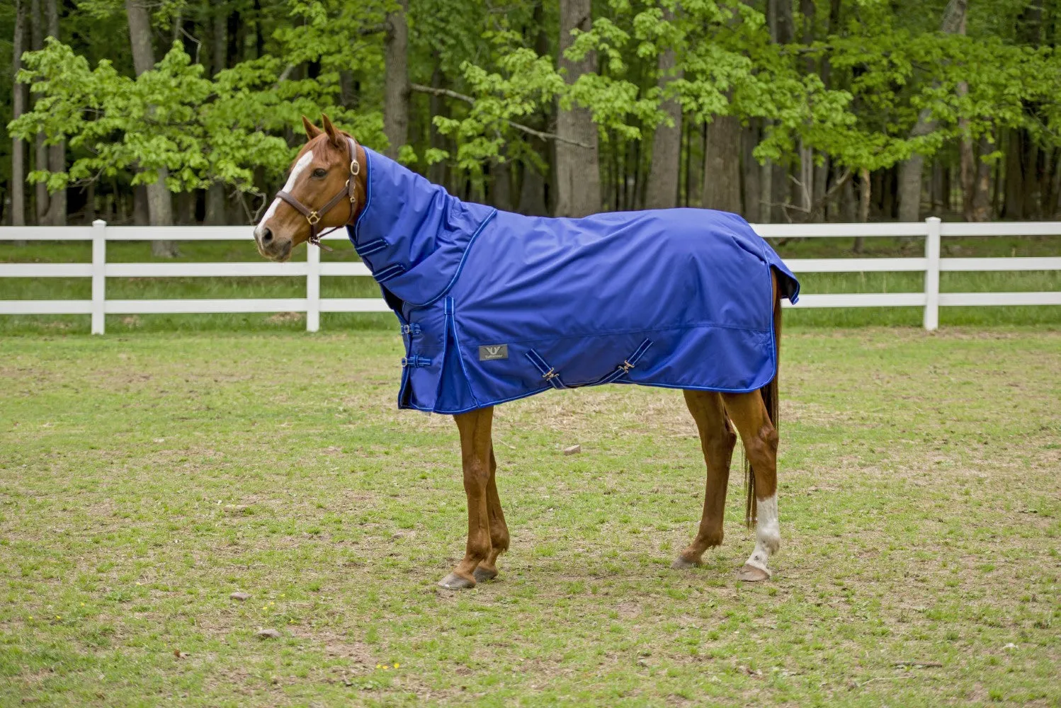 TuffRider 1680 D Super Comfy Winter Turnout Blanket Heavy Weight 350 GSM Detachable Neck
