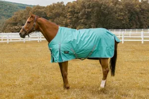 TuffRider 600 D  Comfy Winter Turnout Blanket Medium Weight 200 GSM Standard Neck
