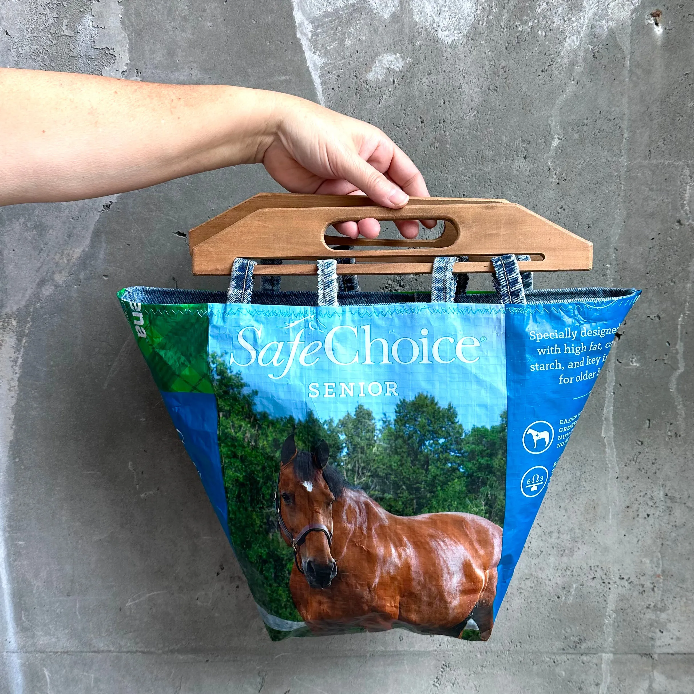 Upcycled Tote Bags | Dr. Laura