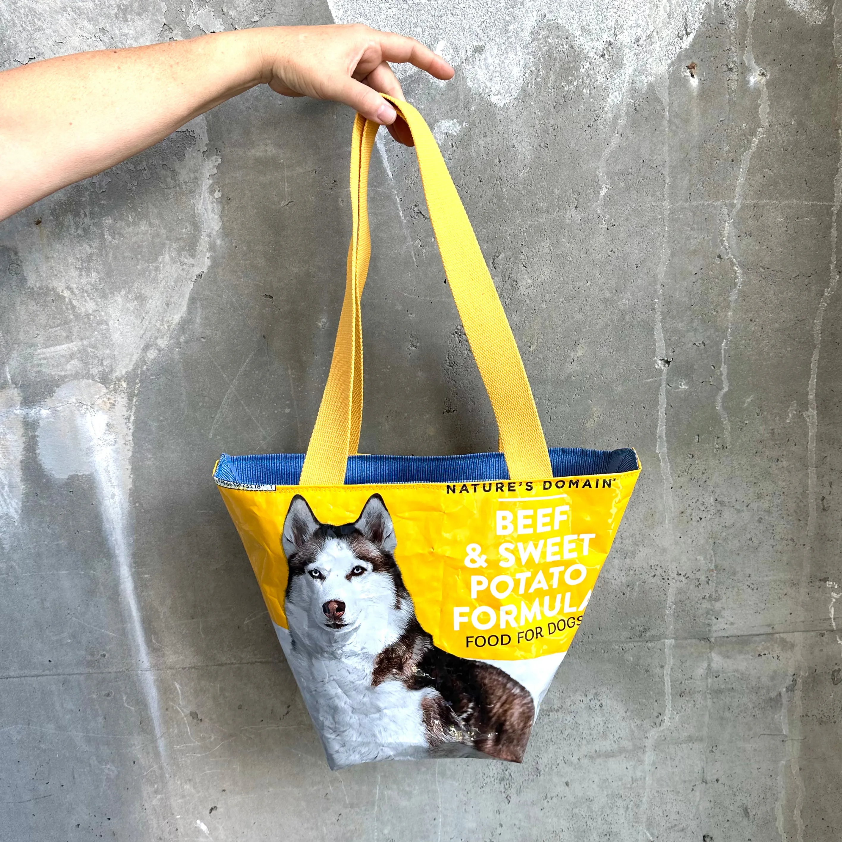 Upcycled Tote Bags | Dr. Laura