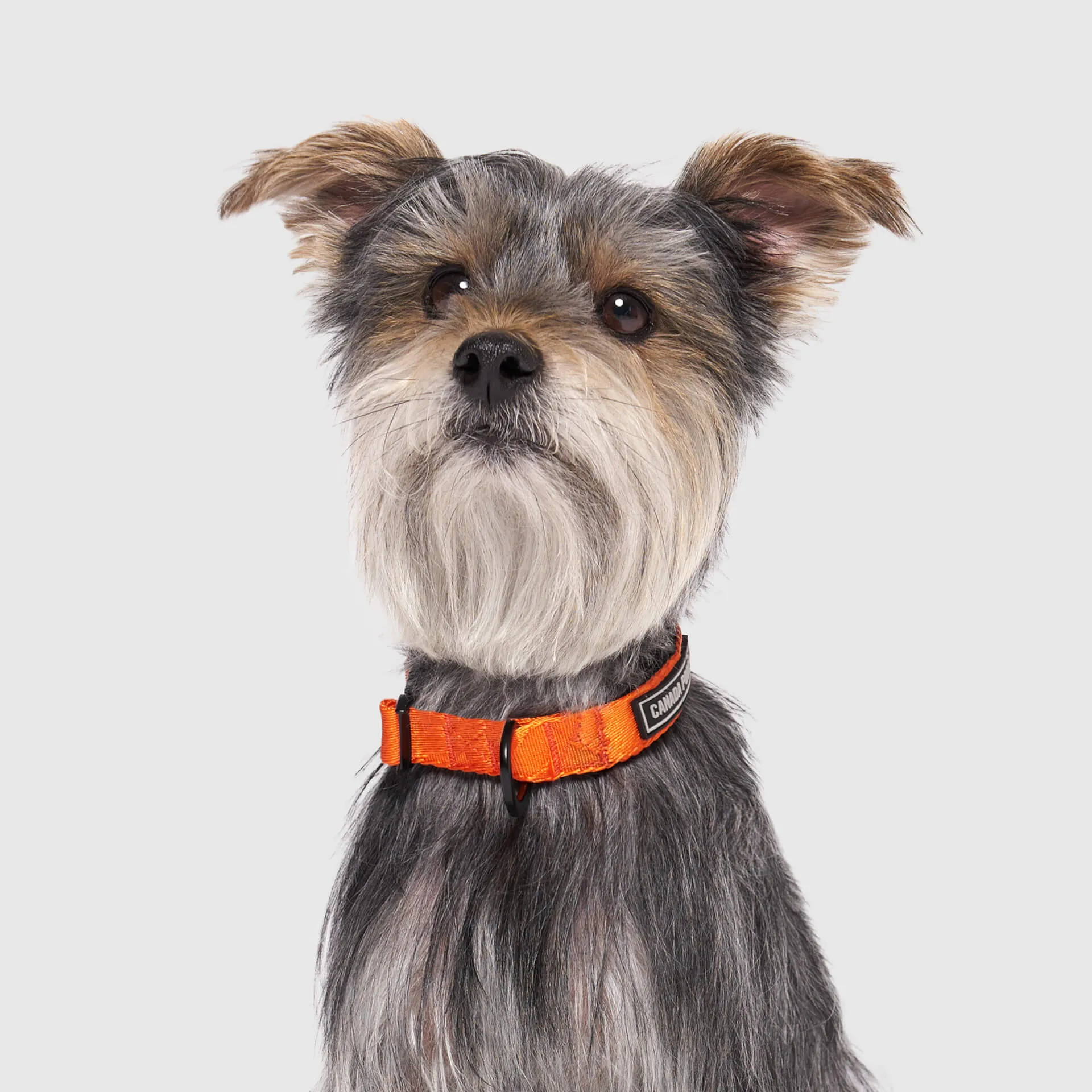 Utility Collar