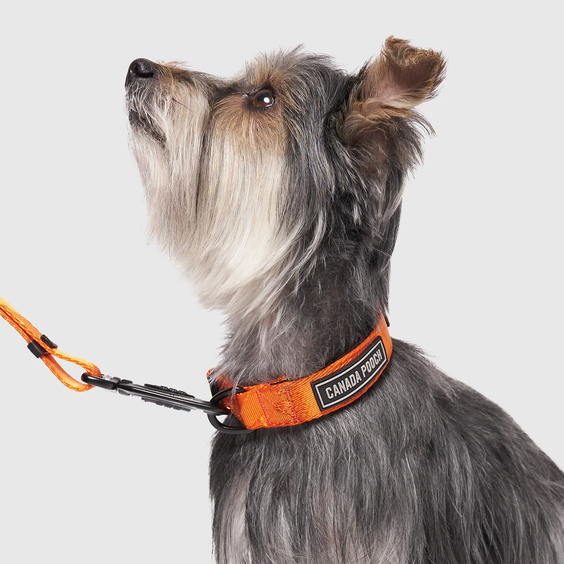 Utility Collar