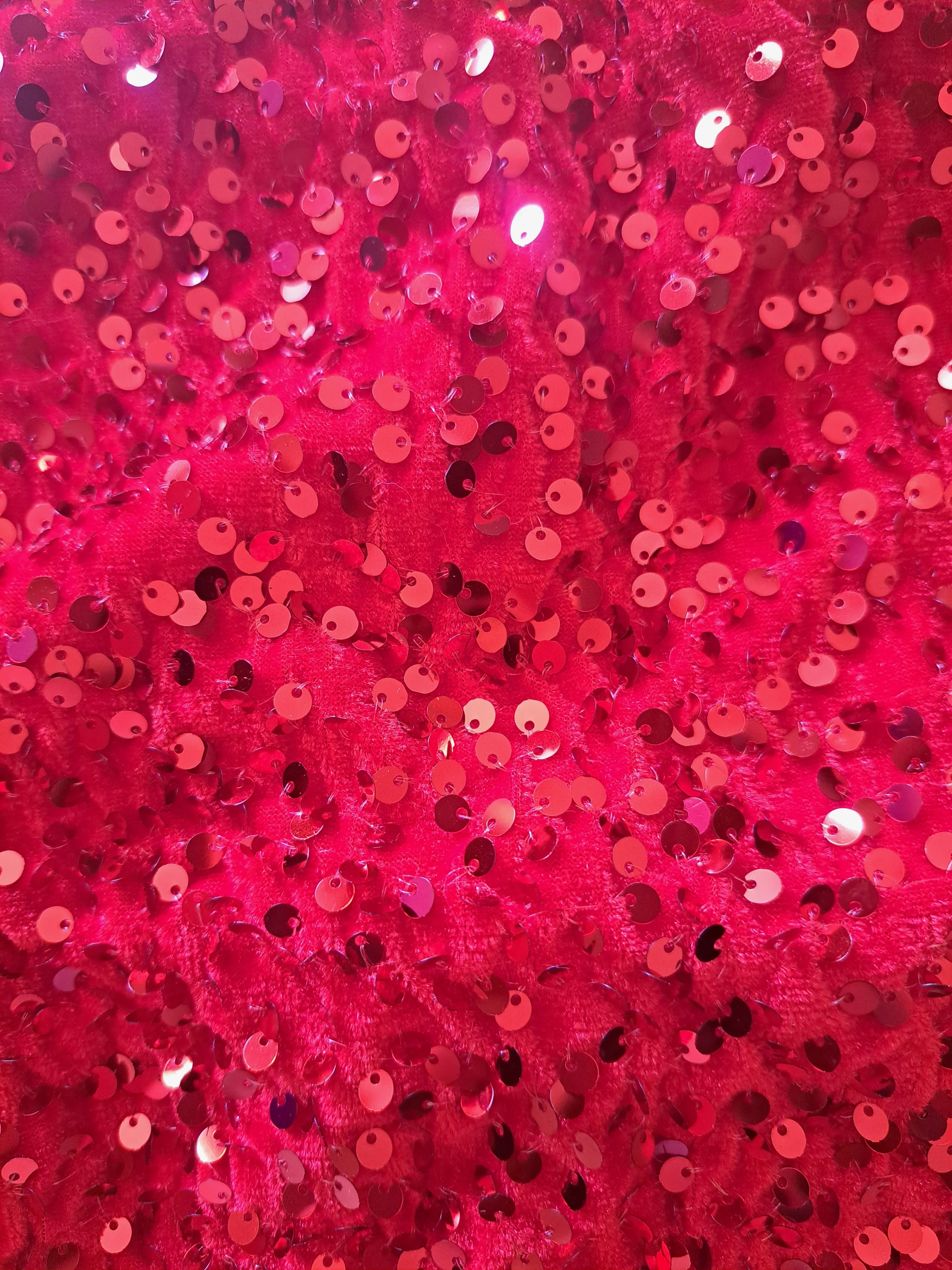 Velvet Sequin High Waist Disco Pants