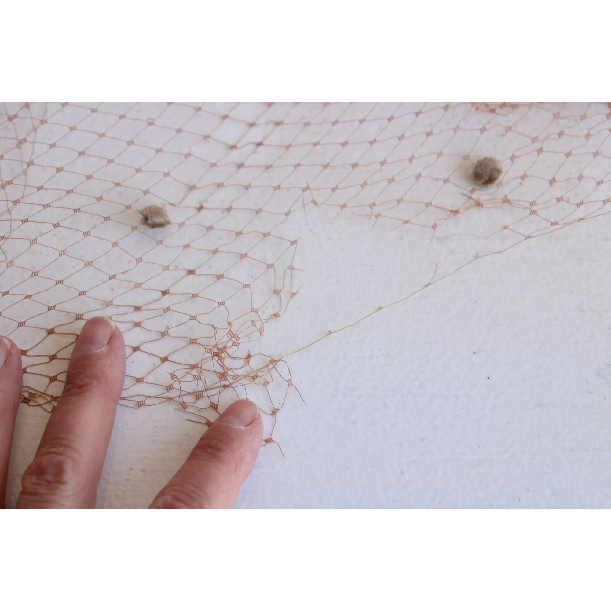 Vintage 1930s 1940s Birdcage Netting, 9" Wide Brown, 2 Yards