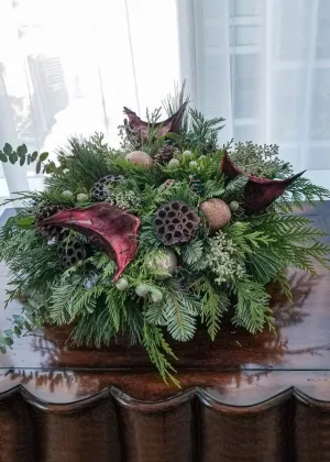 Winter Greeting