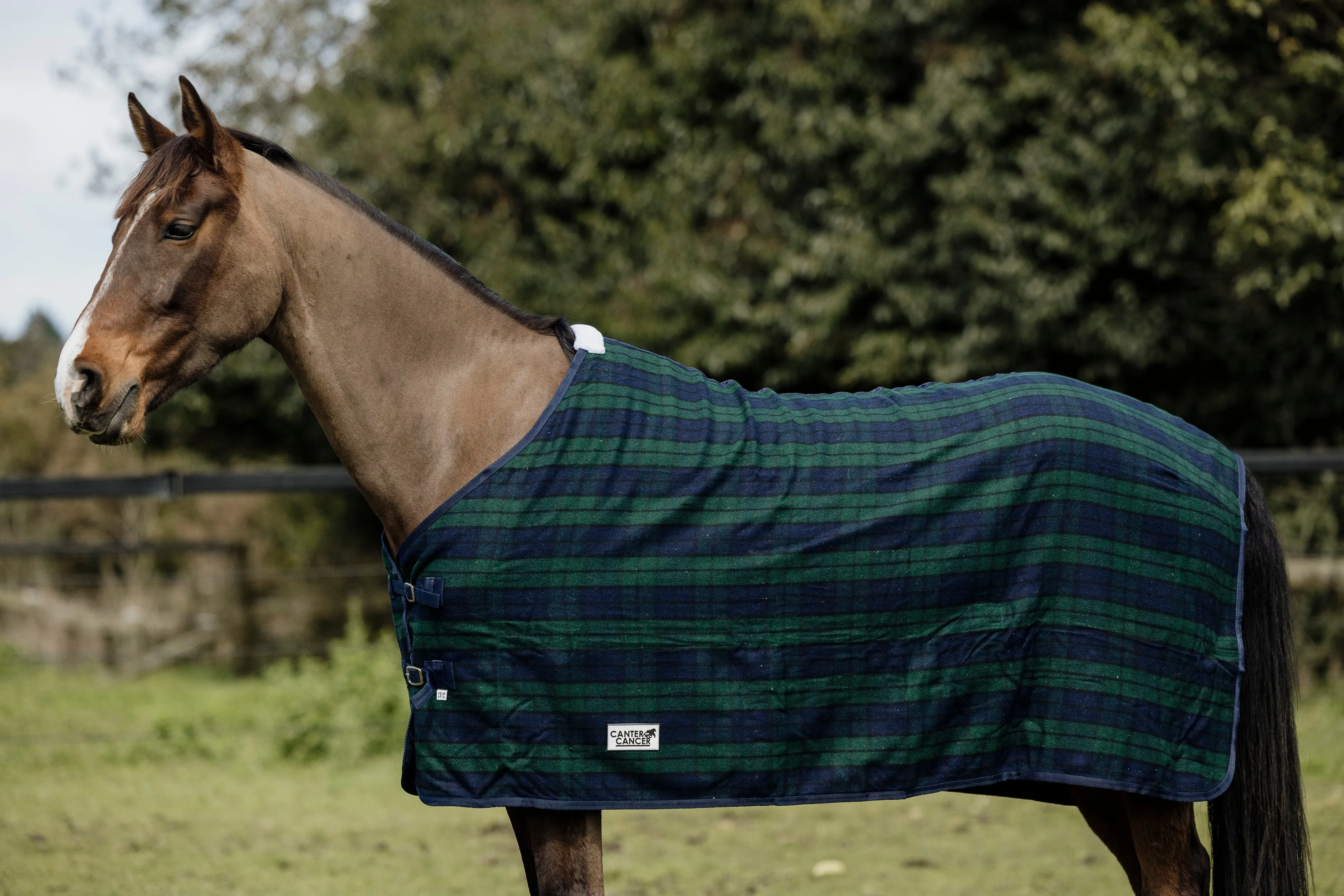 Wool Navy & Green Rug Only (Pony)