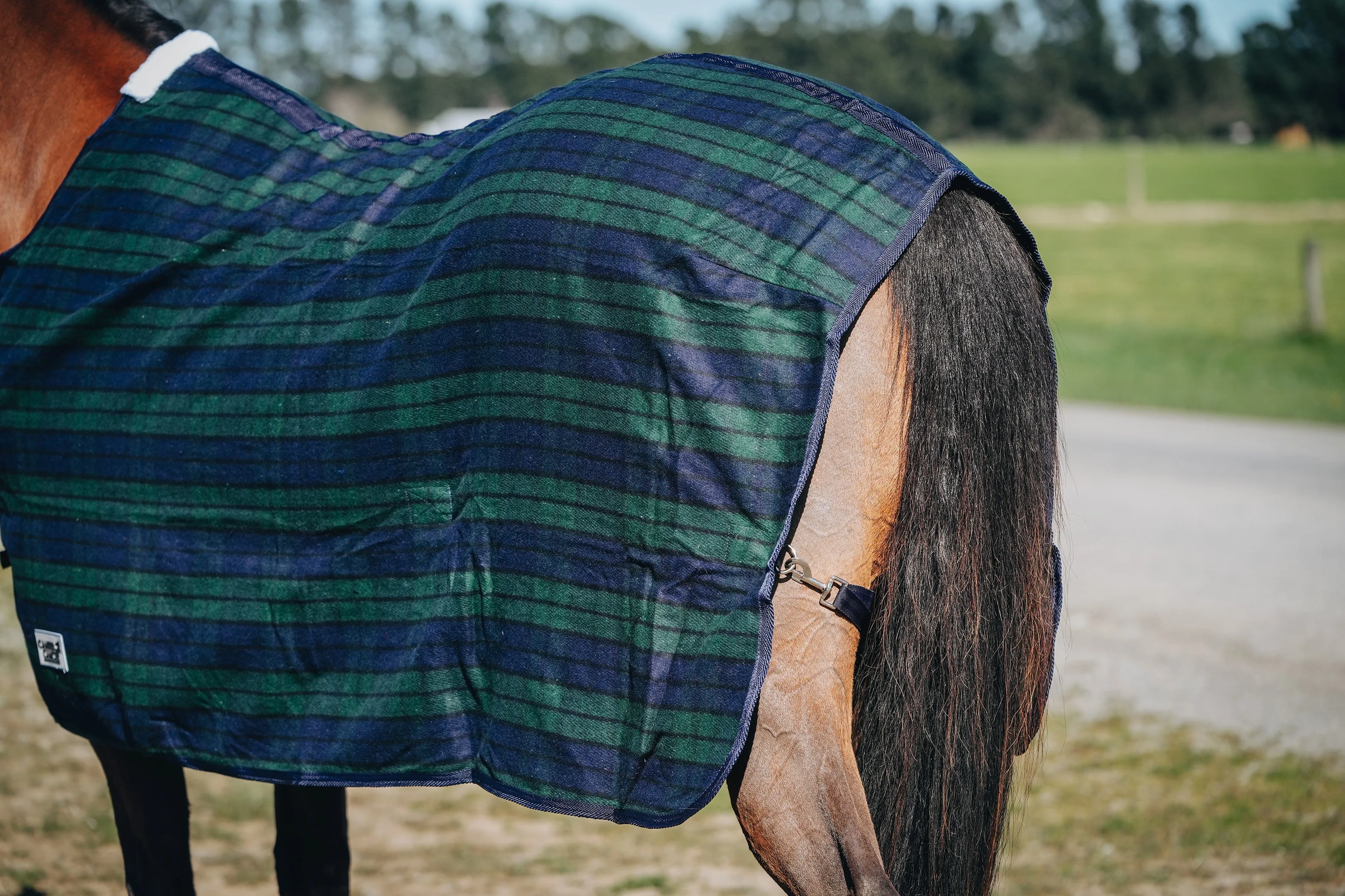 Wool Navy & Green Rug Only (Pony)