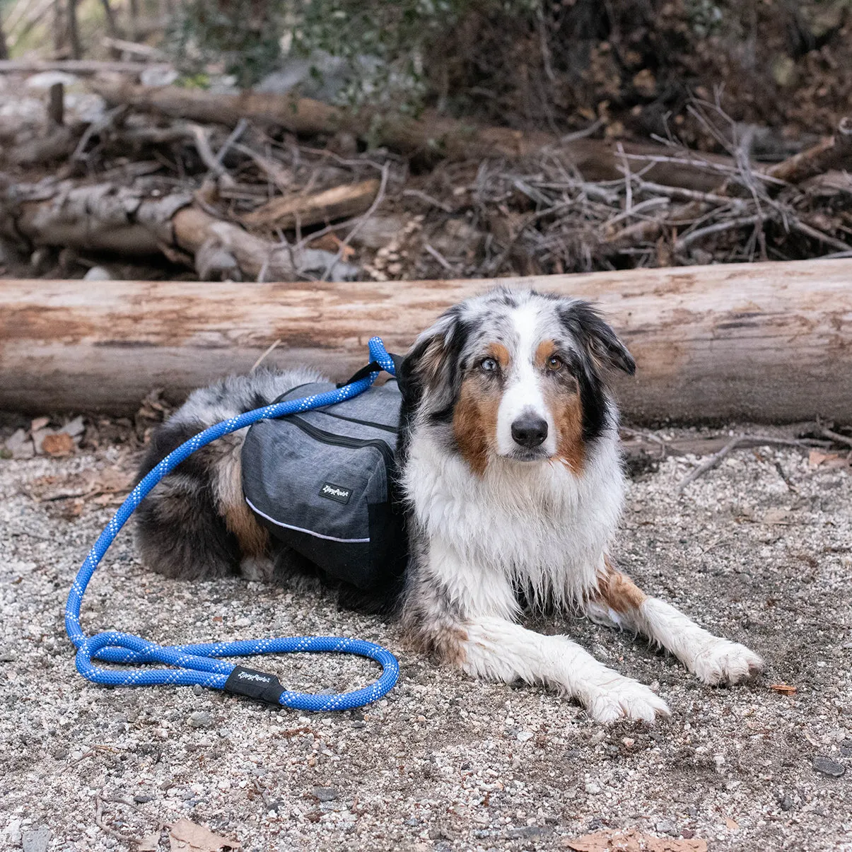 Zippy Paws Lightweight Adventure Backpack, Graphite