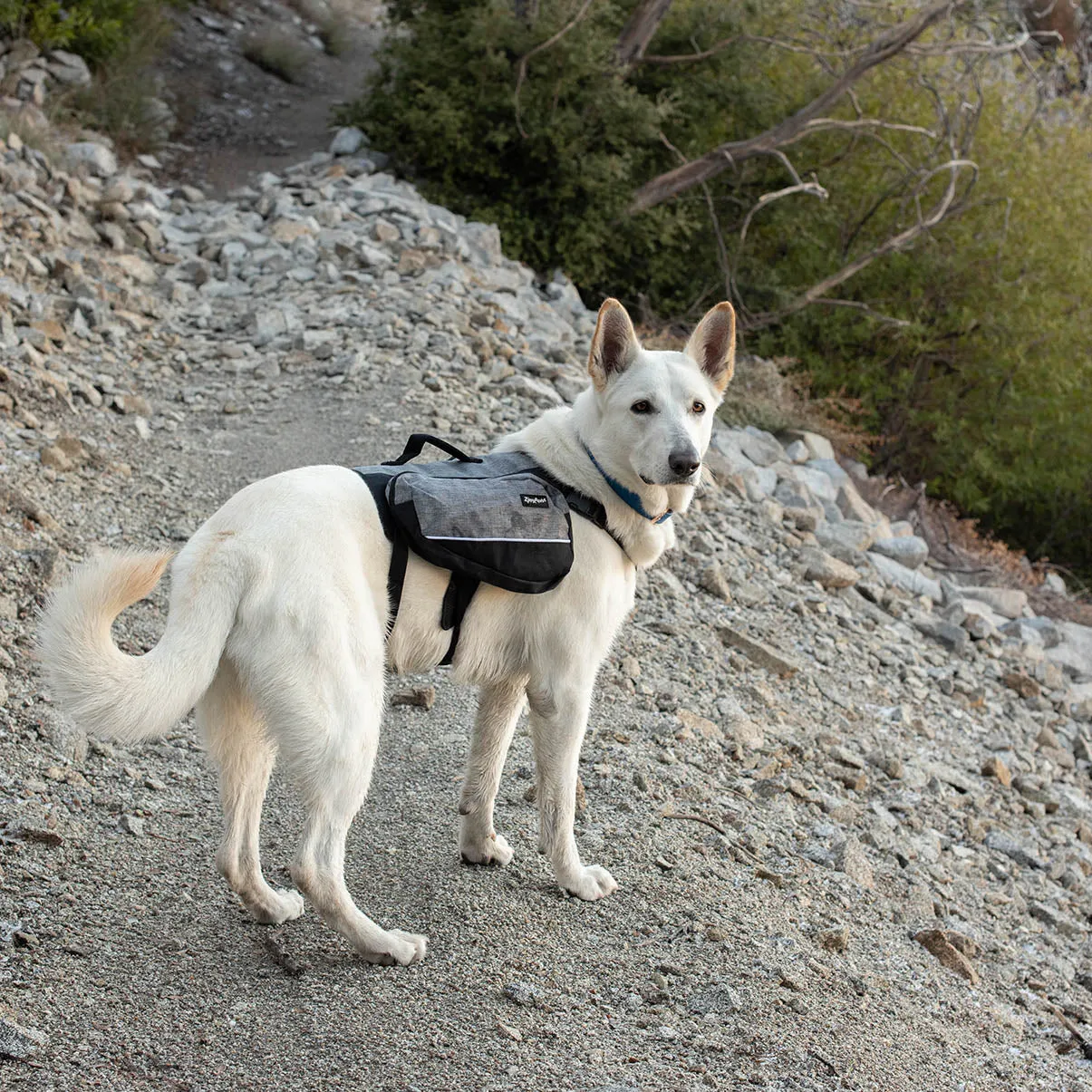 Zippy Paws Lightweight Adventure Backpack, Graphite